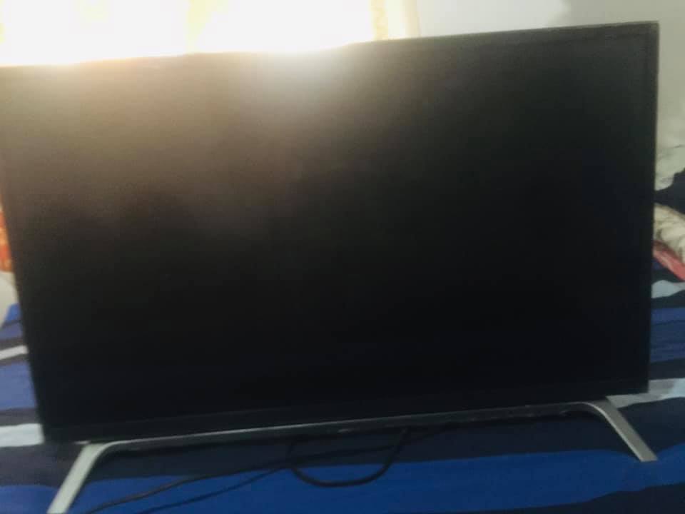 241546417_4427390337298692_2097512942169218468_n