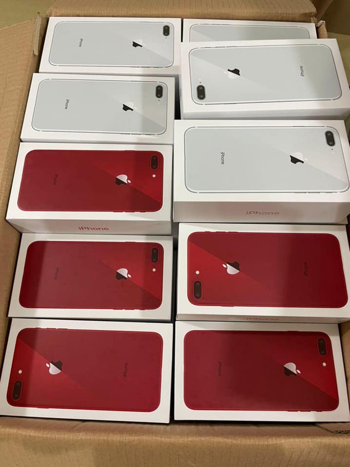251604417_626454711714323_2063918176653419752_n