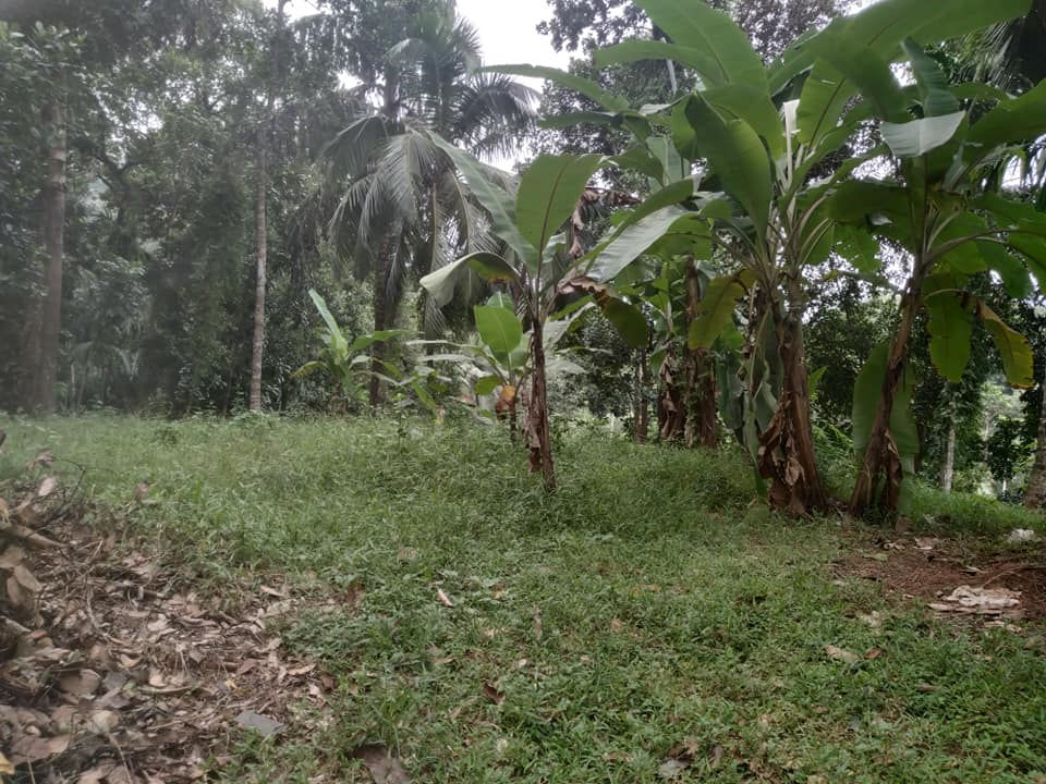 252749360_446204783514994_8679624091320179778_n