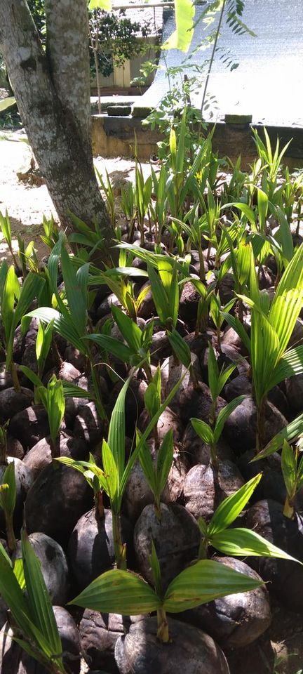 252769629_1309906496106724_6495716874012872108_n