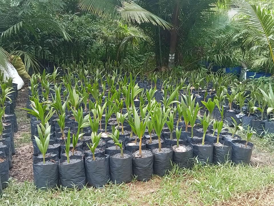 255030427_1315808725516501_1865734597266114246_n