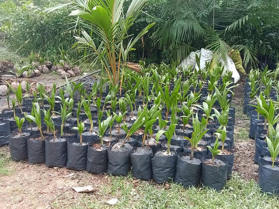 255118447_1315808588849848_1440077227795478023_n