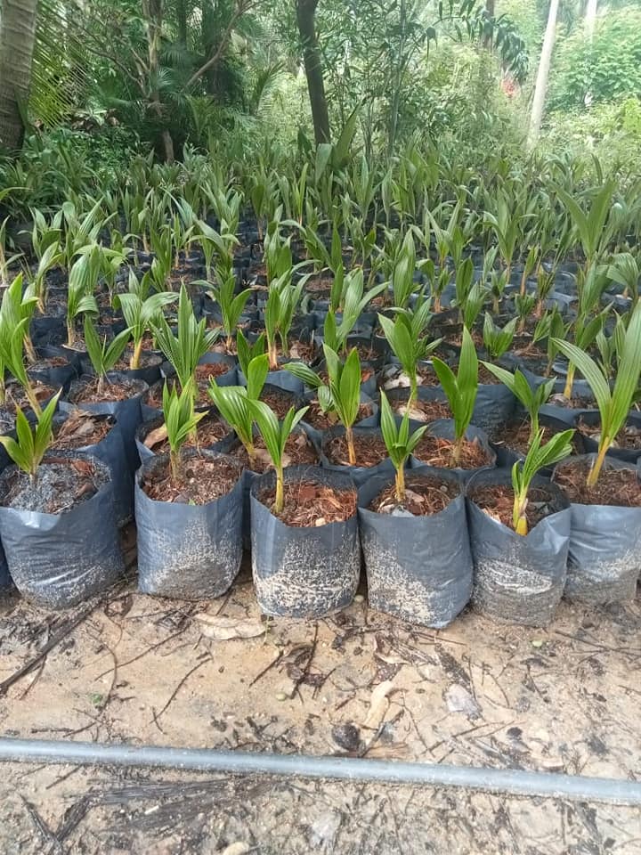 255726956_1315808542183186_7460319414000759052_n