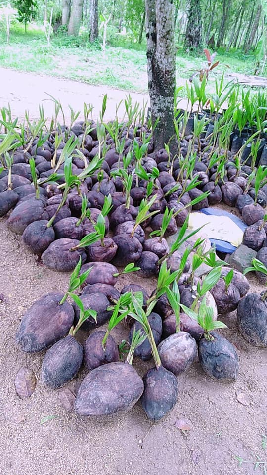 256132930_1315808658849841_3329306031528596614_n