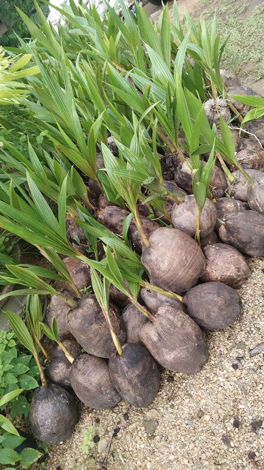 258298675_1319938568436850_3818497225064802385_n