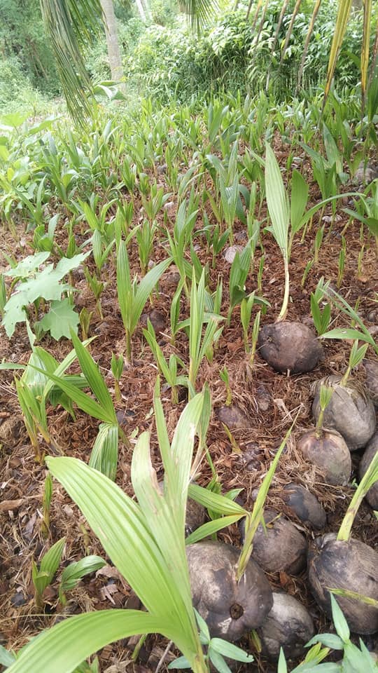 258363087_1319938958436811_3736656860572989619_n