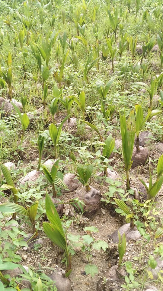 258780233_1319938748436832_8644059410085212183_n