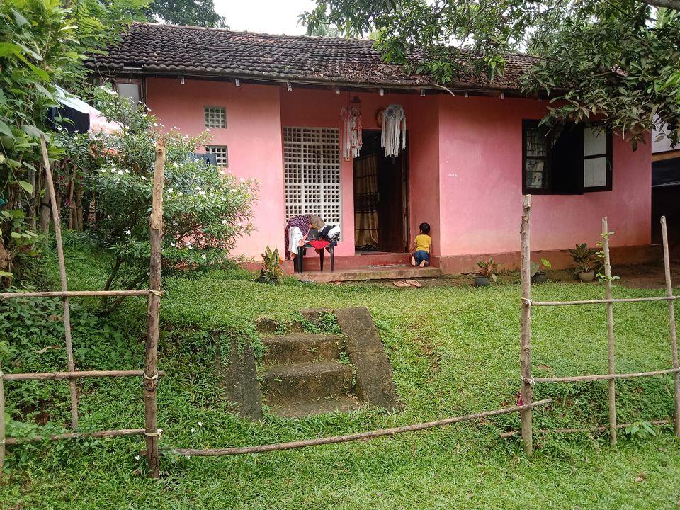 269873560_404274228115306_6132086604233485926_n