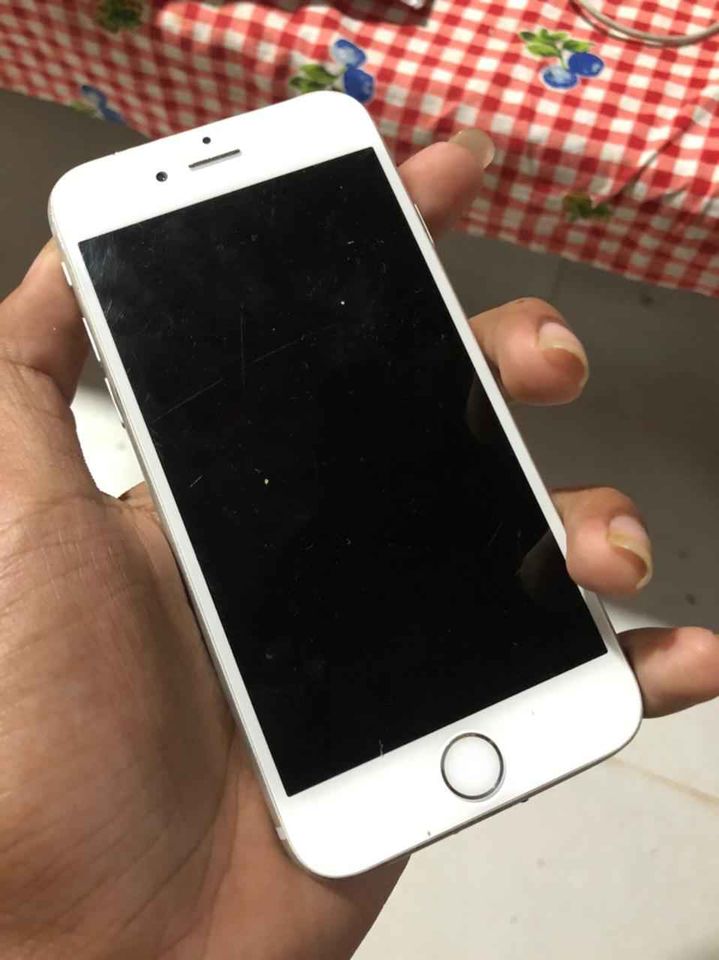 271234487_3049857658561286_7832669388402202793_n