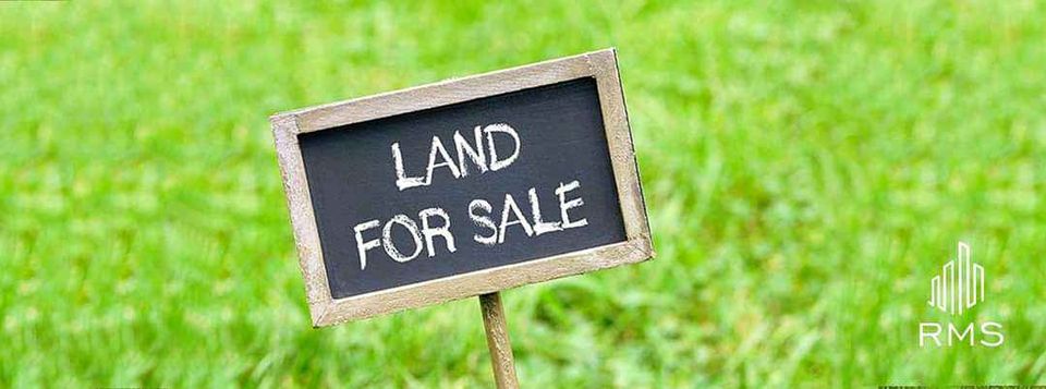 271537788_1440990822963237_7126805188429298473_n