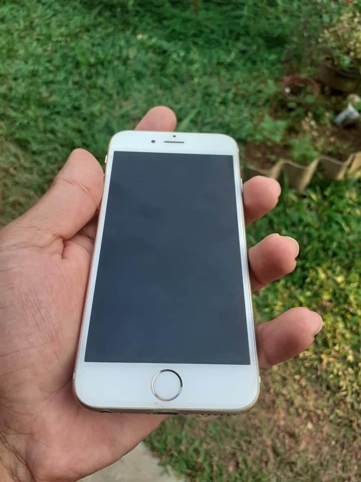 271647835_208573948158589_493397596716429676_n