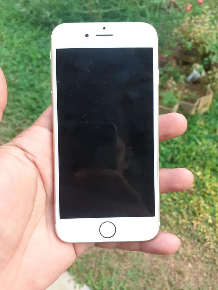271655198_208574164825234_6898972280098367248_n