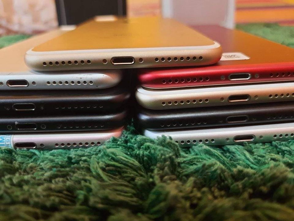 272048139_387671876447732_6251765744784772697_n