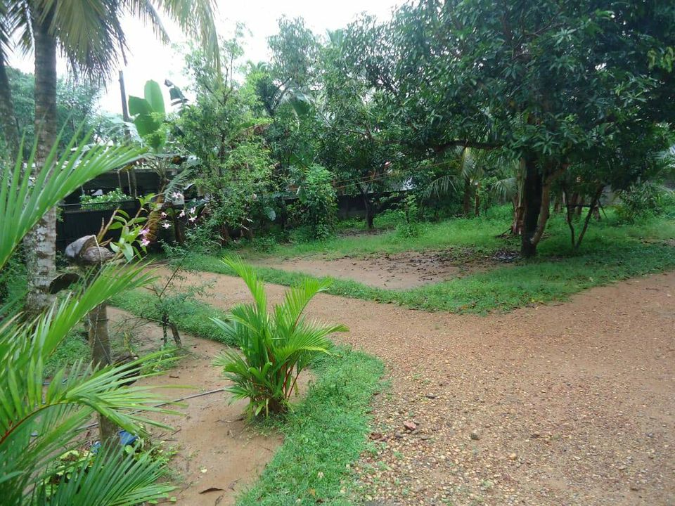 272232326_1651553261842399_2718807402267243640_n